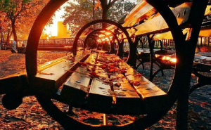 Celebrate The Beauty Of Fall Foliage And Autumn Leaf Colors With 50 Stunning Photos Of The Season