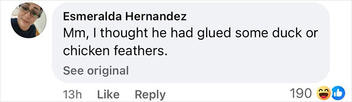 Comment on social media post showing mixed reactions to pop star dying her armpit hair at Paris Fashion Week. Comment on social media post showing mixed reactions to pop star dying her armpit hair at Paris Fashion Week.