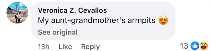 Comment saying my aunt-grandmother's armpits with heart eyes emoji reacting to pop star dyeing armpit hair at Paris Fashion Week. Comment saying my aunt-grandmother's armpits with heart eyes emoji reacting to pop star dyeing armpit hair at Paris Fashion Week.
