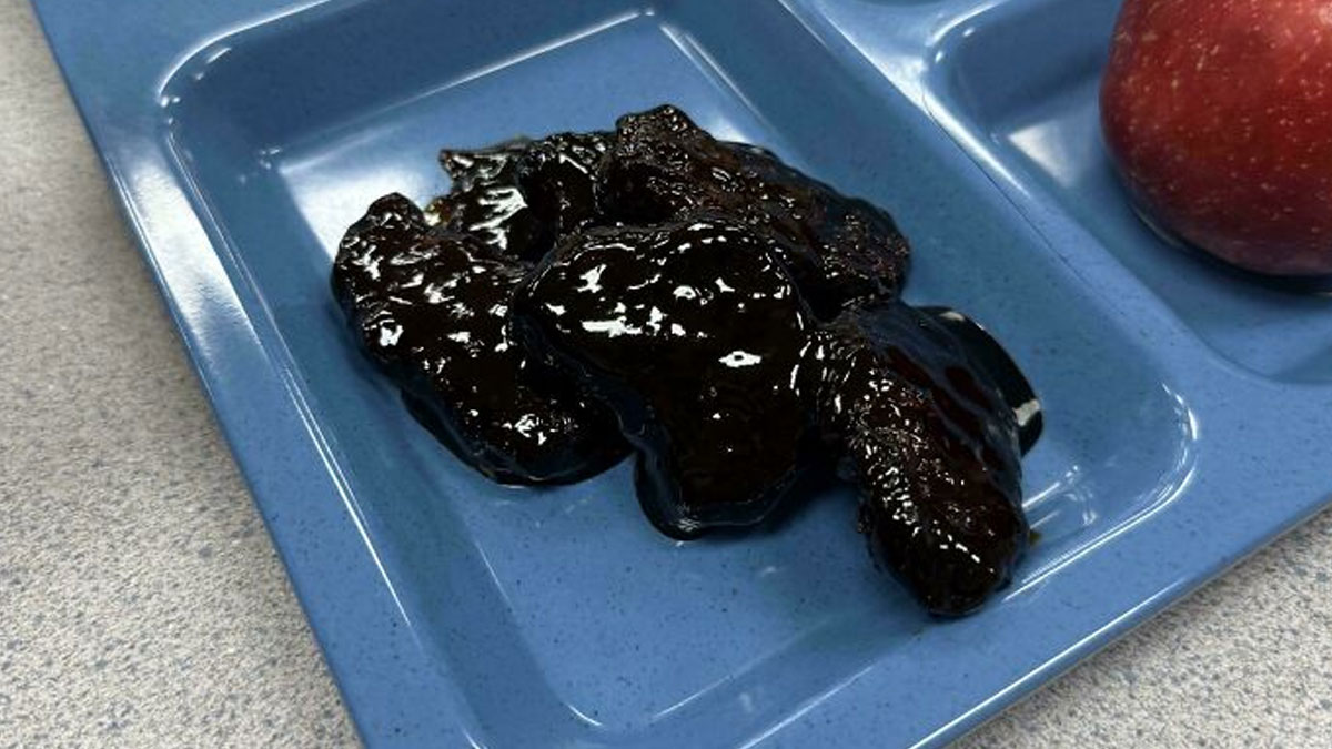 Unholy food pics showing unappetizing dark, slimy, irregularly shaped food on a blue tray next to a red apple.