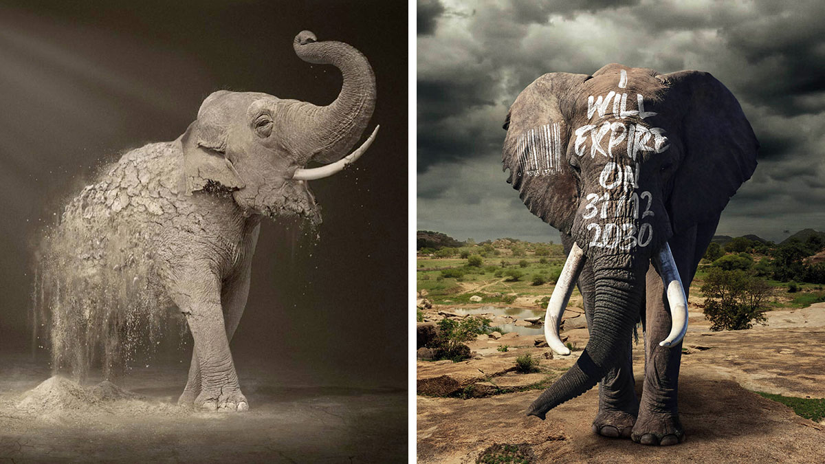 Elephants in creative ad campaigns, one covered in sand, the other with a barcode and expiration date on its face.