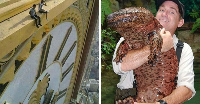 50 Fascinating Pictures That Let The Human Body Explain The True Size Of Things