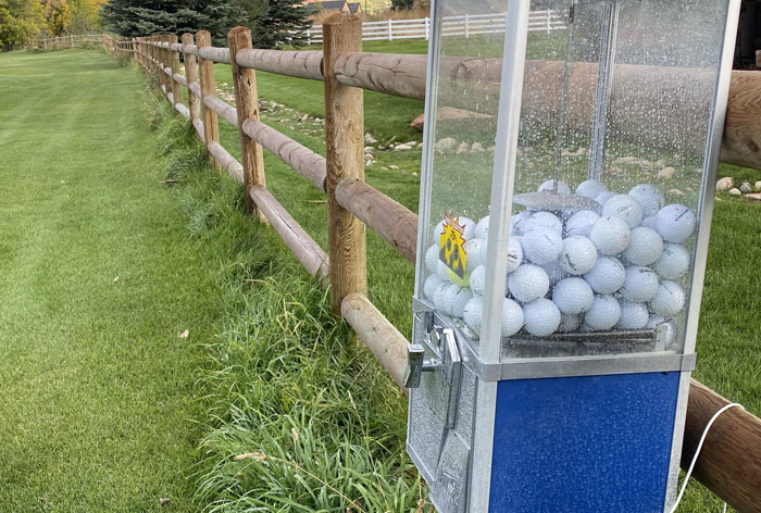 Golf ball vending machine filled with balls beside a wooden fence on a grassy field, showcasing loophole discovery.