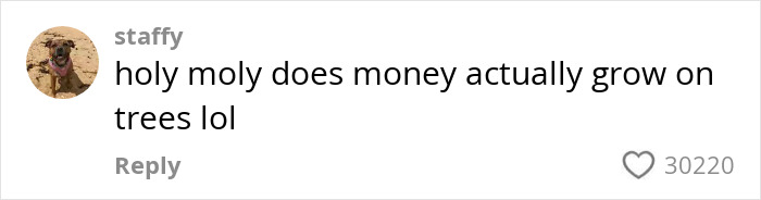 Comment from social media user staffy sarcastically questioning wealth while reacting to billionaire influencer’s Hermès shopping haul backlash. Comment from social media user staffy sarcastically questioning wealth while reacting to billionaire influencer’s Hermès shopping haul backlash.