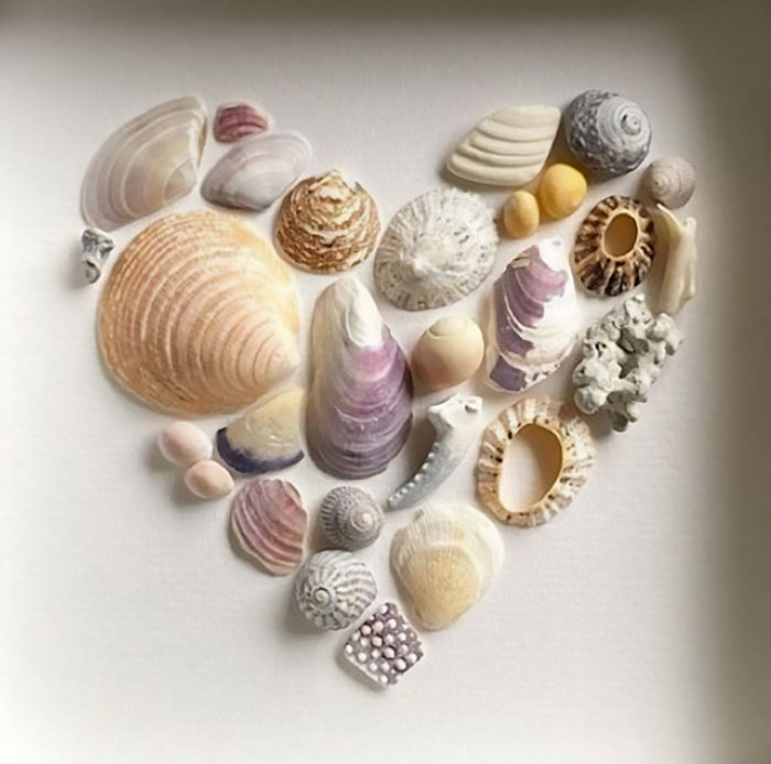 Heart shape made from assorted seashells arranged on a white background, related to boyfriend refuse hang anniversary gift wall.