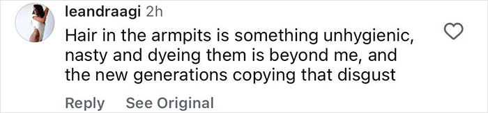 Social media comment criticizing armpit hair dyeing as unhygienic and expressing disgust over younger generations copying the trend. Social media comment criticizing armpit hair dyeing as unhygienic and expressing disgust over younger generations copying the trend.