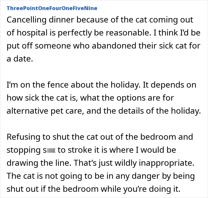 Person stroking cat during intimacy while discussing caring for a sick cat and holiday plans involving pet care. Person stroking cat during intimacy while discussing caring for a sick cat and holiday plans involving pet care.