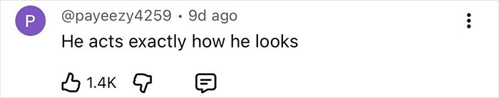 Screenshot of a social media comment reading he acts exactly how he looks, related to disturbing new details after adult star split. Screenshot of a social media comment reading he acts exactly how he looks, related to disturbing new details after adult star split.