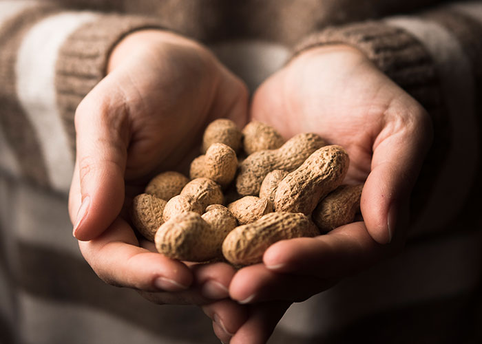 Hands holding unshelled peanuts, symbolizing tension and danger related to a monster-in-law threatening DIL's safety. Hands holding unshelled peanuts, symbolizing tension and danger related to a monster-in-law threatening DIL's safety.