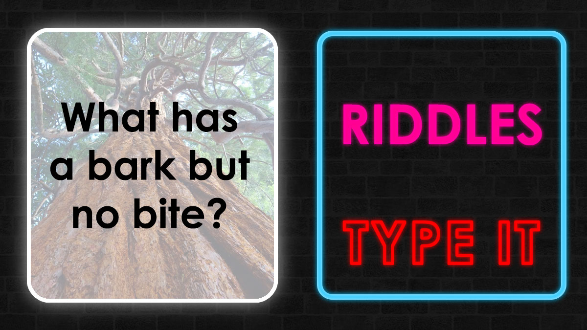 Riddles challenge featuring a tree with the question what has a bark but no bite, brain teaser for kids.