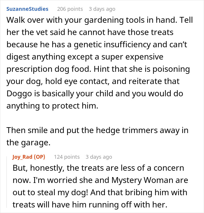 Comments discussing an elderly lady allegedly planning to steal a neighbor’s doggo, with the owner expressing shock and concern.