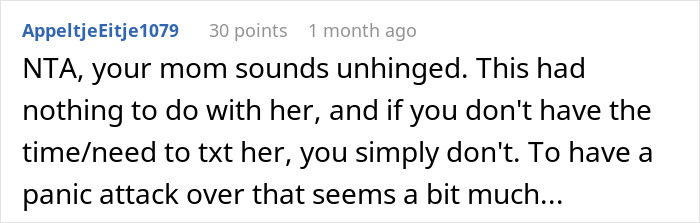 Screenshot of a Reddit comment discussing a mother accusing daughter of kidnapping after no updates during child’s procedure. Screenshot of a Reddit comment discussing a mother accusing daughter of kidnapping after no updates during child’s procedure.