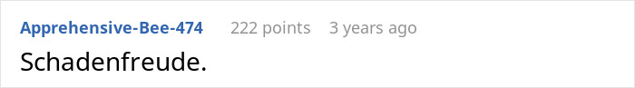 Screenshot of a Reddit comment showing the word Schadenfreude on a plain background with username and points visible. Screenshot of a Reddit comment showing the word Schadenfreude on a plain background with username and points visible.