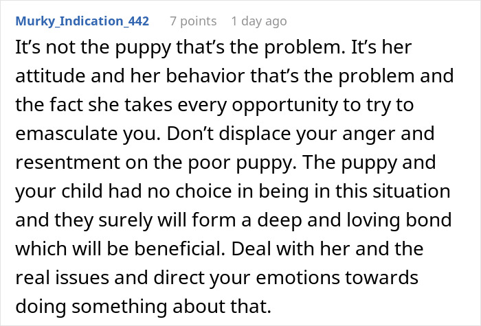 Comment discussing a man upset about unwanted puppy responsibility and advising to address real emotional issues. Comment discussing a man upset about unwanted puppy responsibility and advising to address real emotional issues.