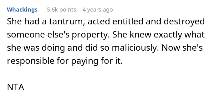 Screenshot of a user comment discussing stepdaughter sister spices drama involving entitlement and property destruction consequences. Screenshot of a user comment discussing stepdaughter sister spices drama involving entitlement and property destruction consequences.