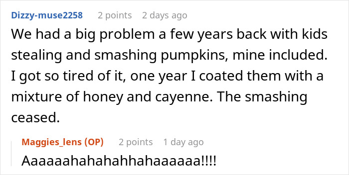 Woman torn between laughter and guilt after her clever hot revenge on neighborhood kids works like magic.