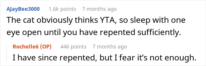 Screenshot of a conversation about a woman refusing to share her chicken sandwich with her cat, questioning if she’s the jerk. Screenshot of a conversation about a woman refusing to share her chicken sandwich with her cat, questioning if she’s the jerk.
