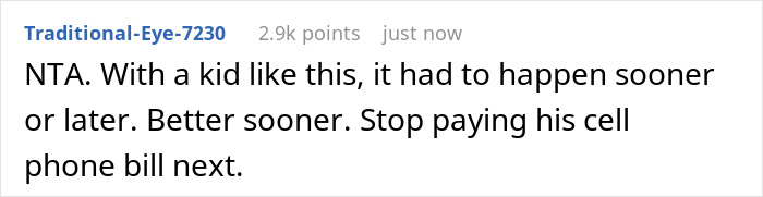 Screenshot of a Reddit comment discussing a 20-year-old mooching off parents who stole $3K and was kicked out. Screenshot of a Reddit comment discussing a 20-year-old mooching off parents who stole $3K and was kicked out.