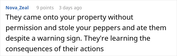 Comment about woman’s hot revenge on neighborhood kids, highlighting feelings of laughter and guilt after success.