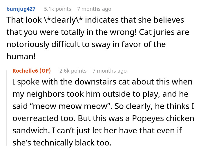 Screenshot of a Reddit discussion about a woman refusing to share her chicken sandwich with her cat. Screenshot of a Reddit discussion about a woman refusing to share her chicken sandwich with her cat.