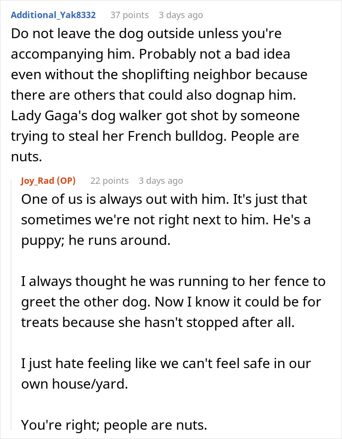 Comments discussing concerns about elderly lady allegedly planning to steal neighbor’s dog, with owner feeling unsafe.