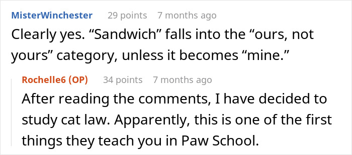 Comments discussing a woman refusing to share her chicken sandwich with her cat, debating if she’s the jerk. Comments discussing a woman refusing to share her chicken sandwich with her cat, debating if she’s the jerk.