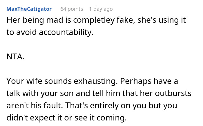 Reddit comment discussing family drama after man films his wife secretly to prove she eats all his fries.