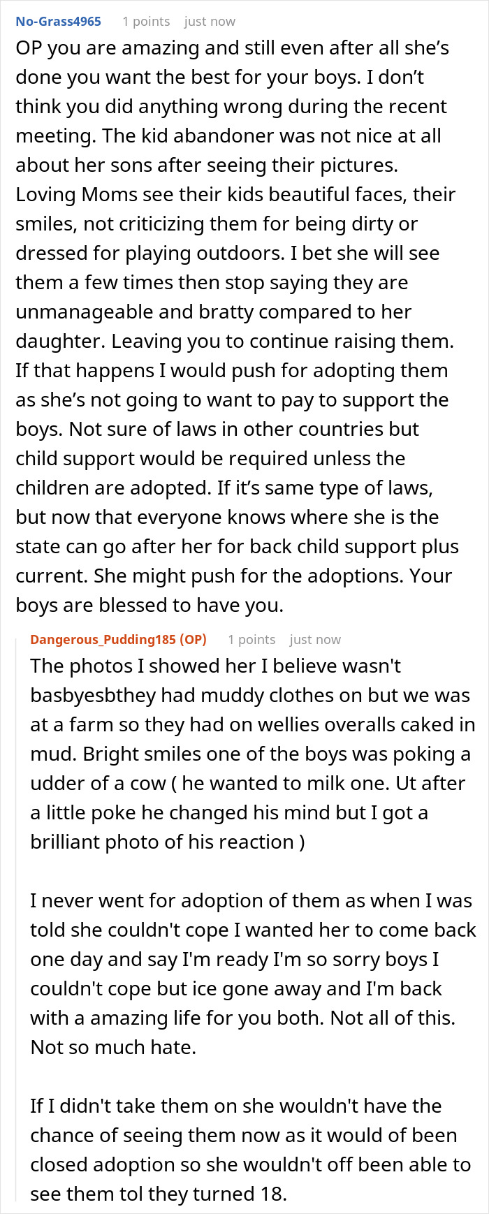 Reddit discussion about mom abandoning kids and sister raising them, highlighting child support and adoption concerns. Reddit discussion about mom abandoning kids and sister raising them, highlighting child support and adoption concerns.