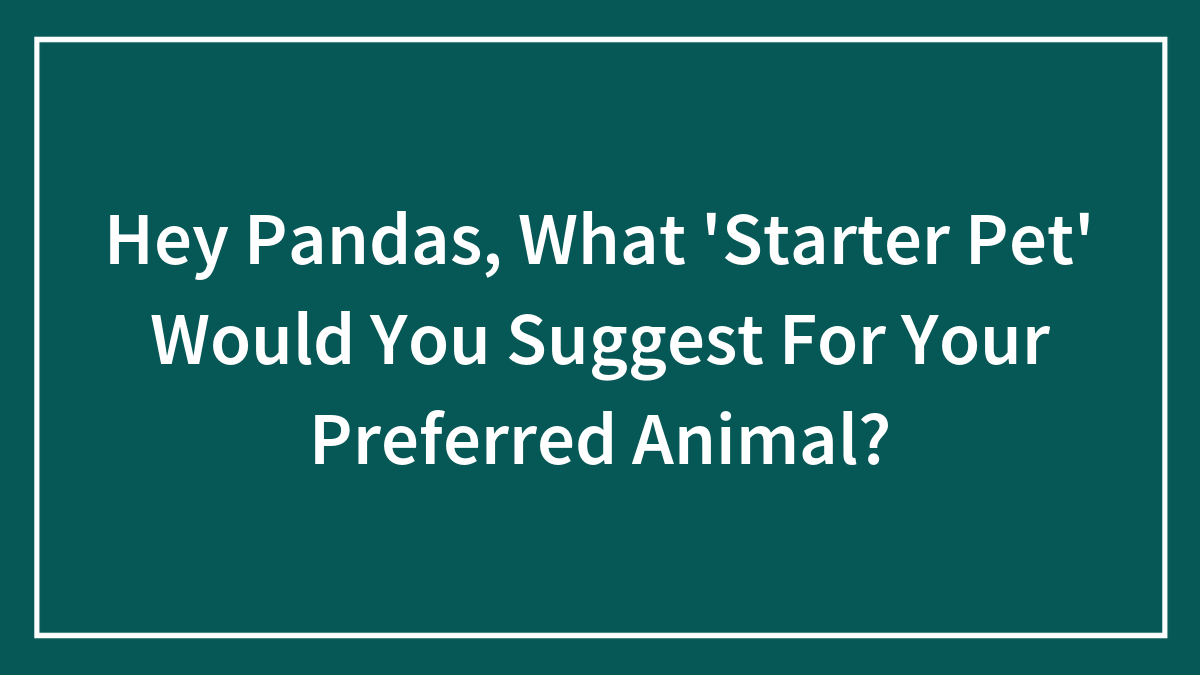 Text on teal background asking Hey Pandas about their starter pet suggestions for preferred animals, focusing on starter pet ideas.