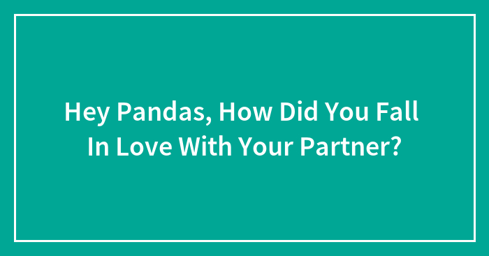 Hey Pandas, How Did You Fall In Love With Your Partner?