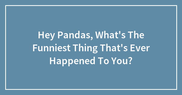 Hey Pandas, What’s The Funniest Thing That’s Ever Happened To You? (Closed)