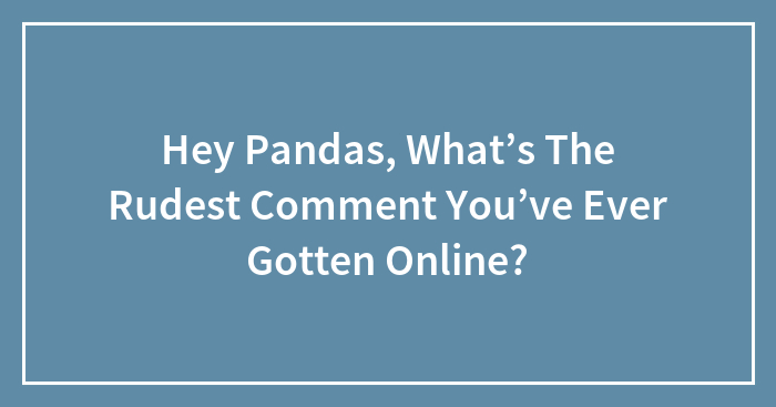 Hey Pandas, What’s The Rudest Comment You’ve Ever Gotten Online? (Closed)