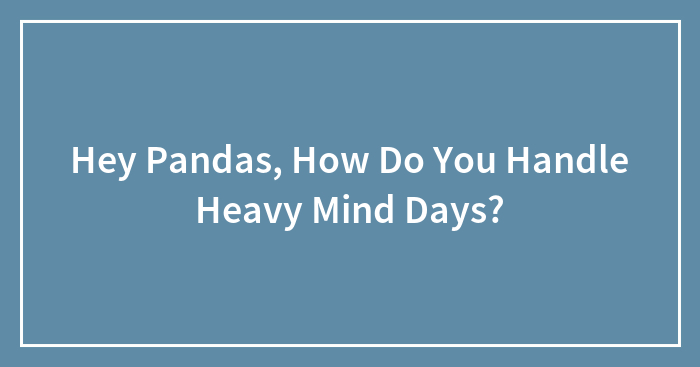 Hey Pandas, How Do You Handle Heavy Mind Days? (Closed)