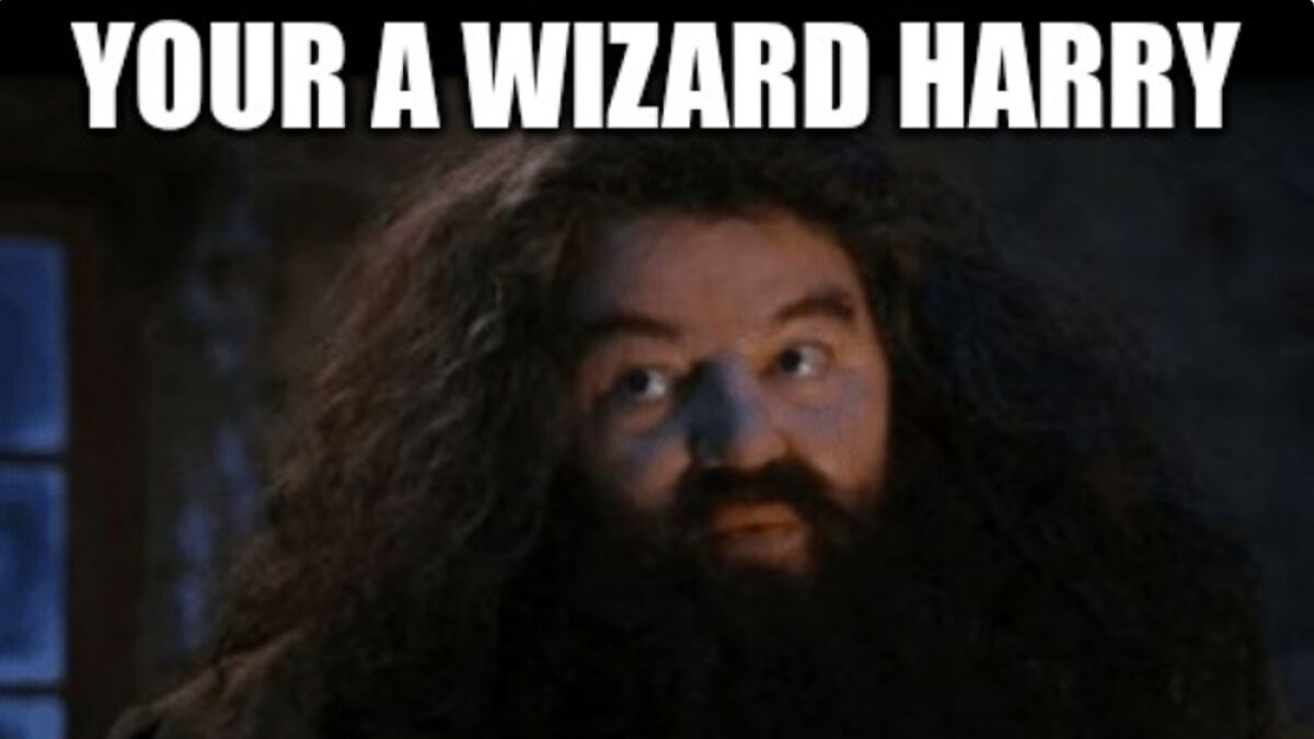 Hagrid with messy hair saying your a wizard Harry in a humorous Harry Potter meme.