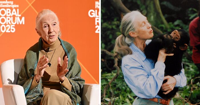 Jane Goodall, Legendary Chimpanzee Expert And Animal Advocate, Passes Away At 91