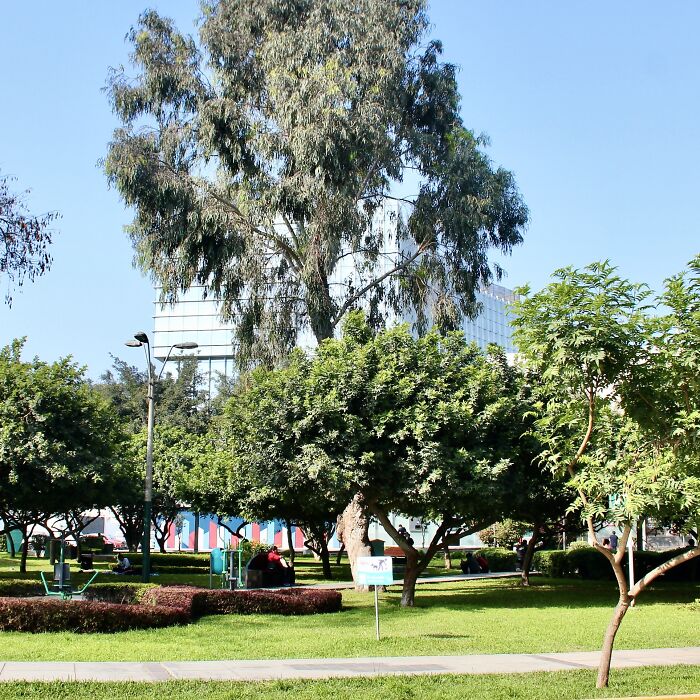 I Visited San Borja Sur Park In Lima, Peru With My Sisters, And Here Are The Highlights From Our Trip