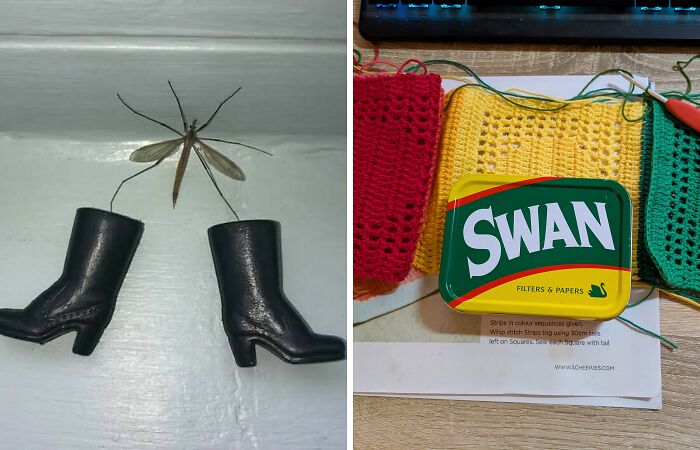 Hey Pandas, Post The Strangest Thing You Have Saved (Closed)