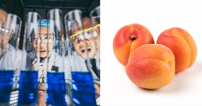 Scientists Just Proved You Can Breathe Through Your Bottom, And The Internet Can’t Stop Laughing