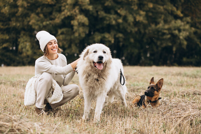 Woman smiling and petting large white dog in a field with another dog nearby in a peaceful home stories setting.