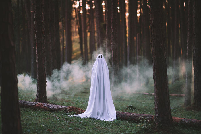 A creepy thing resembling a ghost stands in a foggy forest surrounded by tall trees at dusk.