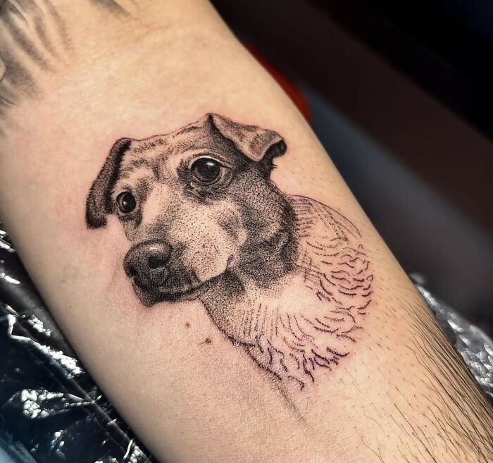 Realistic dog portrait tattoo on forearm showcasing detailed shading by a tattoo artist refusing strange or offensive requests.