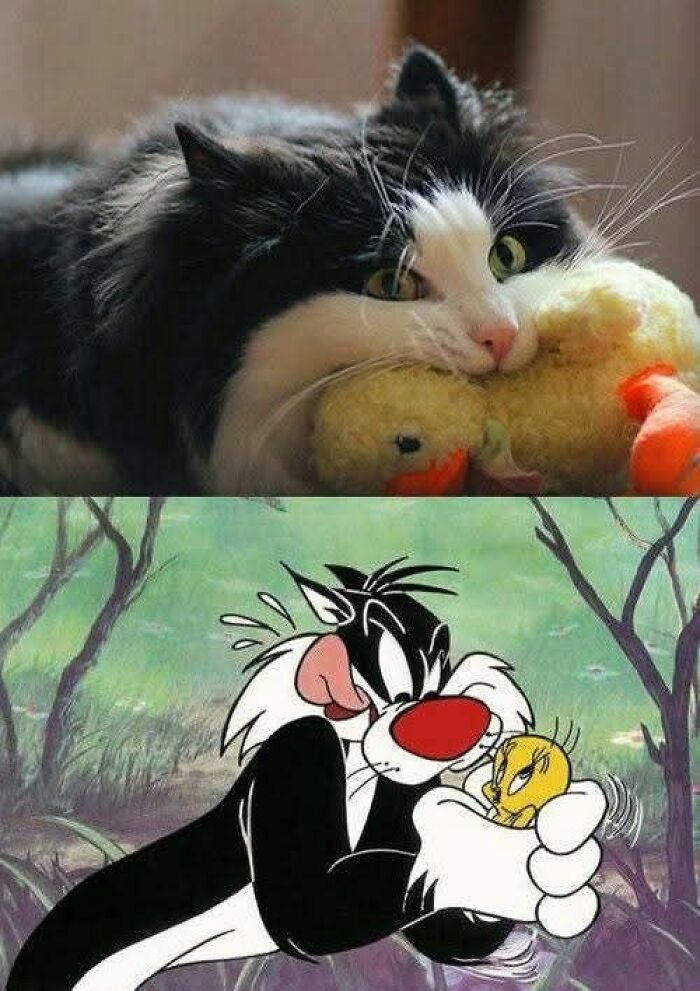 Black and white cat cuddling a plush toy above a cartoon skunk holding a small yellow bird in a forest setting, animal memes.