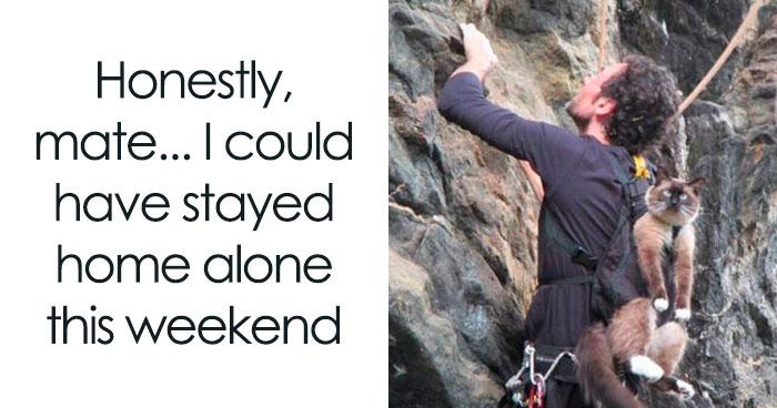 50 Hilarious Photos That Might Make You Love Animals Even More