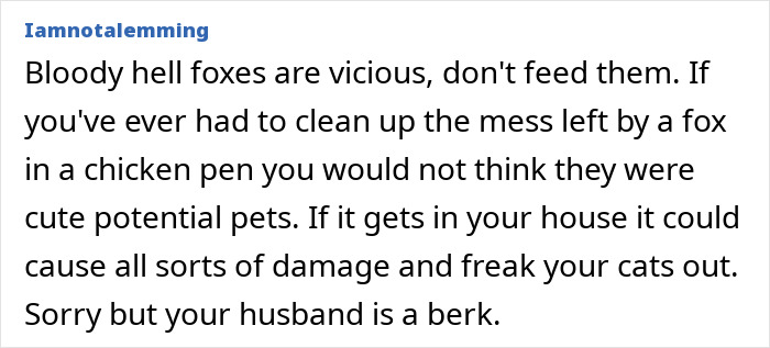 Alt text: Man insists on installing a cat flap while wife suspects it’s for his pet fox, sparking a quirky home debate.