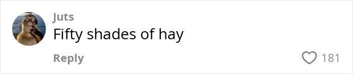 Comment on social media post reading Fifty shades of hay with a monkey profile picture and 181 likes. Comment on social media post reading Fifty shades of hay with a monkey profile picture and 181 likes.
