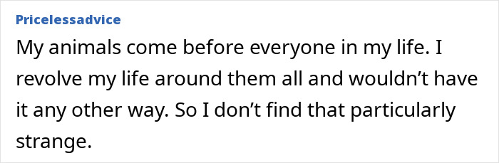 Person gently stroking a cat during intimacy, showing affection and bonding with the pet in a cozy setting. Person gently stroking a cat during intimacy, showing affection and bonding with the pet in a cozy setting.