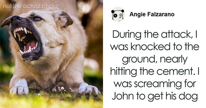 Hey Pandas, I Can’t Afford To Move But My Neighbor Threatens My Safety, What Can I Do?