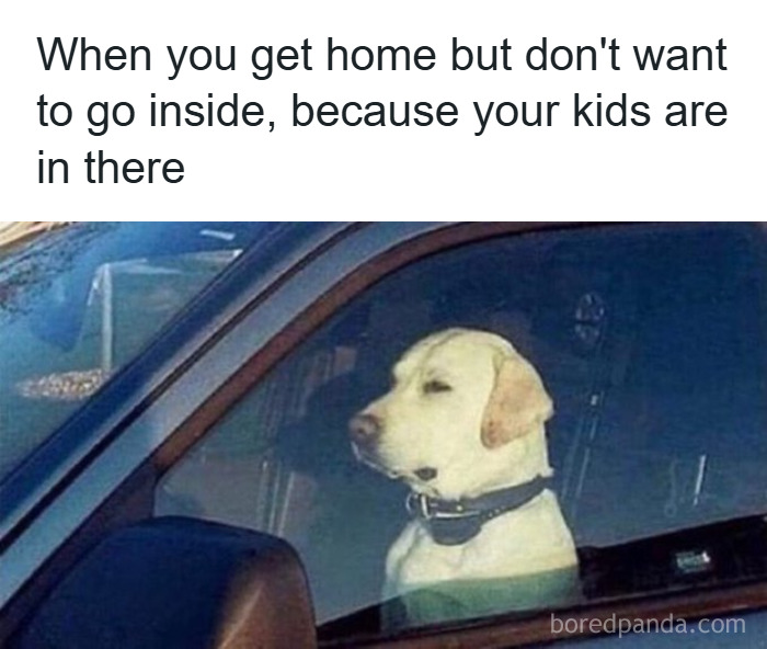 Relatable parenting meme featuring a dog looking reluctant to go inside because the kids are there.