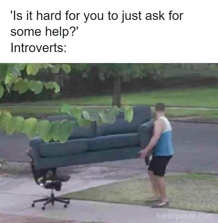 Man struggling to carry a couch while a cat sits on an office chair, illustrating relatable memes about coping with anxiety.