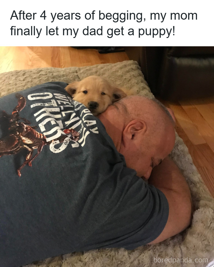 Man resting with a puppy on his back, capturing a wholesome animal meme to brighten your day and ease worries.